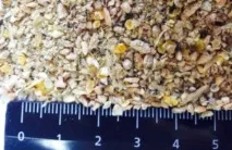 Як приготувати стартовий корм для бройлерів у домашніх умовах приготувати
