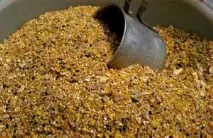 Як приготувати стартовий корм для бройлерів у домашніх умовах корм