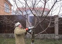 слива направим