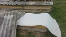 Як укрити виноград на зиму на Уралі укрити