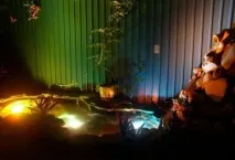 Як зробити піднятий ставок на дачній ділянці дачній