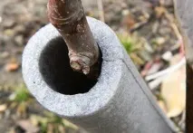 ябълкови изолираме