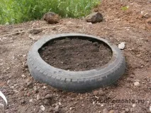 направим гуми
