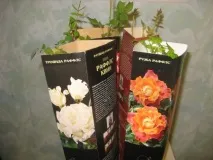 преди преди