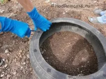 направим оранжерии