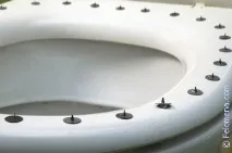 защо защо