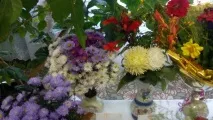 есенни есенни
