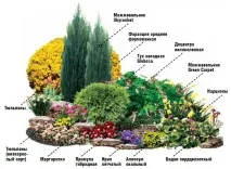 Клумба безперервного цвітіння на фото з багаторічників,план посадки безперервного