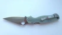 paramilitary