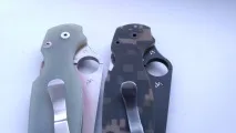 paramilitary