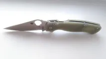 paramilitary