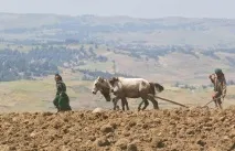 Дах Африки» вражаюча краса Ефіопського нагір’я - НОВИНИ У ФОТОГРАФІЯХ краса