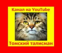 Кішки та кошенята у Хабаровську. хабаровську