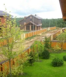 вилно мишкин