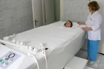 нервната система нервната система