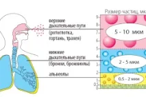 Лікування алергії на цвітіння (пилок) цвітіння