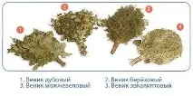 Вийшов із лазні – як заново народився! Про лазневі віники заново