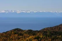 водка производител