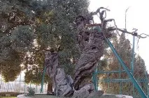 реліквія