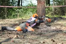 Лісоруб-2017» провело в Раубічах Мінське ДВЛГО провело