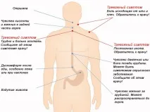 преглед преглед