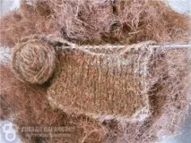борови иглички борови иглички