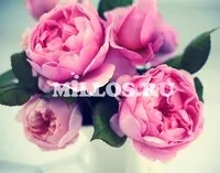 Олія Сасанкви (Камелії японської) японської