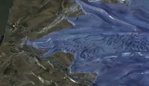 пластику