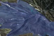 візерунковий