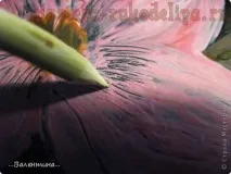 Майстер-клас з енкаустики Сакура енкаустики