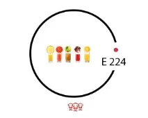 e224 e224