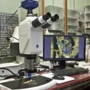 лабораторії