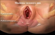 миофасциални