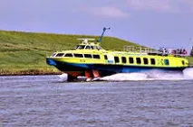 Море (суднобудівний завод) – це суднобудівний