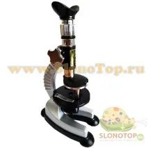 предучилищна възраст