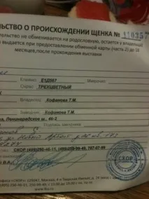 необходима необходима