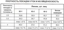 любить