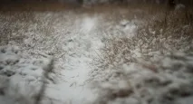 МС Геліос-44К-4 Pentax