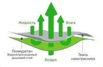 ревю рецензии
