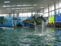 крим адрес