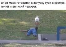 Деня победата Деня победата