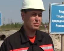 осигуряват цялостна