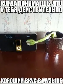 Деня победата сперли