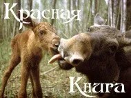 лятна езерото Телецкое