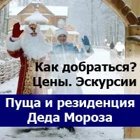 носи
