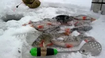 Про деякі спостереження під час зимового блиску блиску