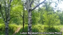 вещица