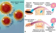 масло зърнастец