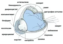 Офтальмологія у Бельгії, Кращі очні клініки Європи очні