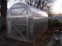 Огірки та томати у теплиці томати